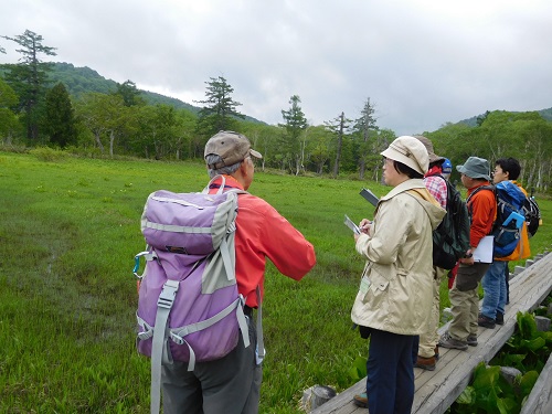 ぐんま環境学校(エコカレッジ)第2回目 尾瀬ボランティア講座「自然観察会」の画像