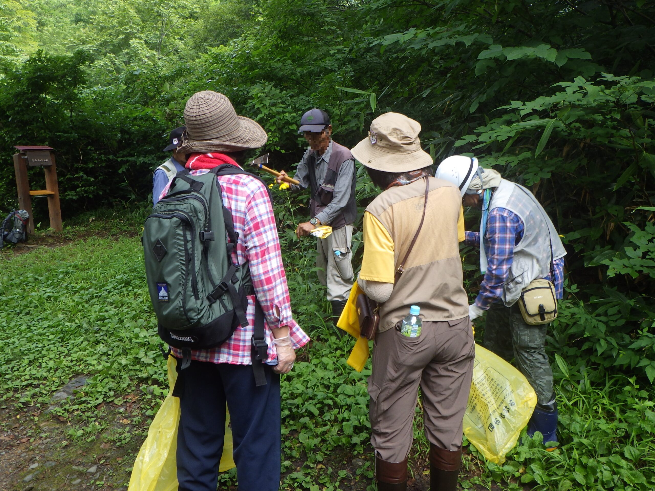 ぐんま環境学校(エコカレッジ)第6回目 実習「自然観察会」の画像1
