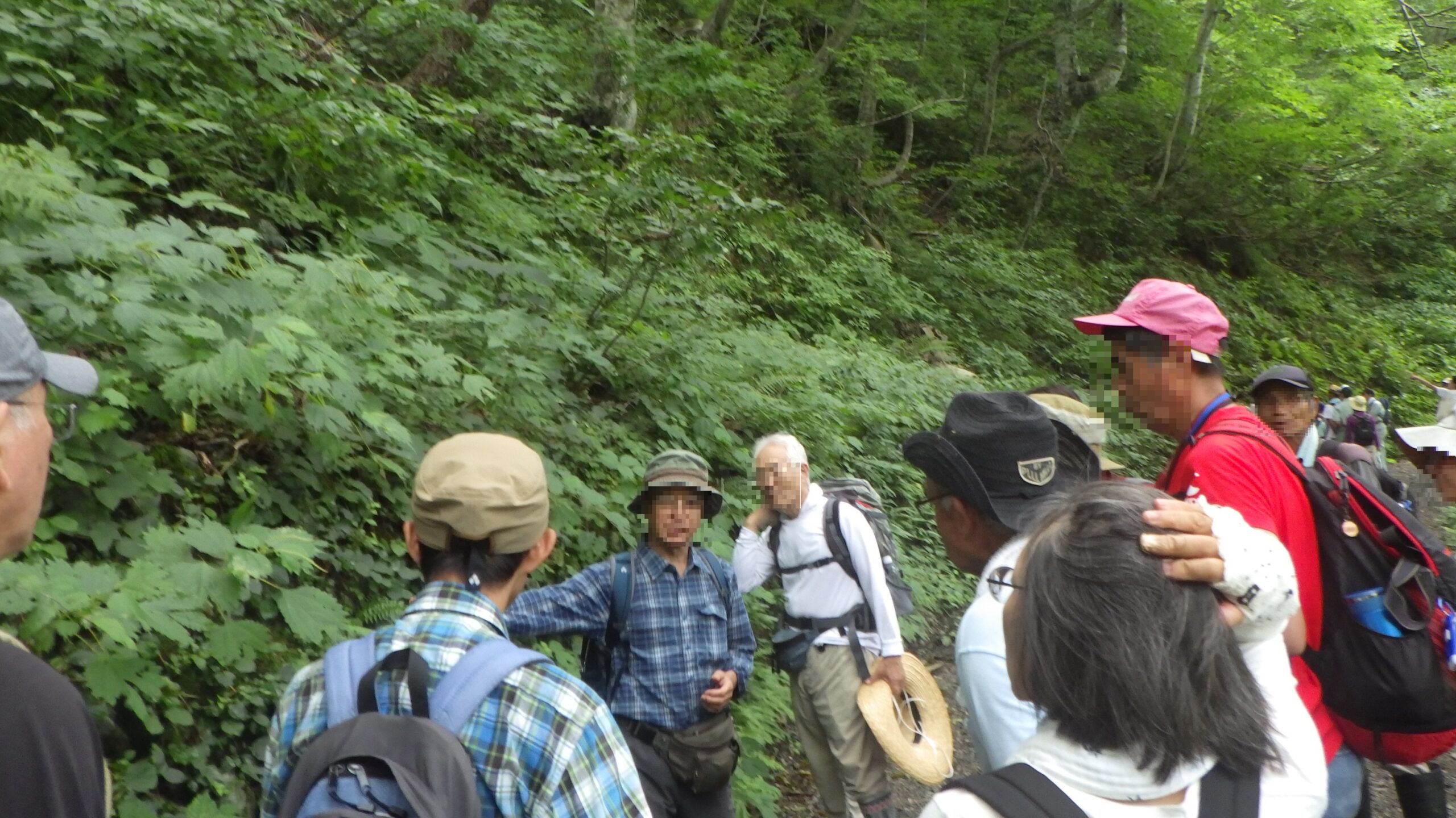 ぐんま環境学校(エコカレッジ)第6回目 実習「自然観察会」の画像2