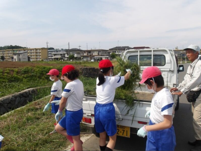 清掃活動の様子2